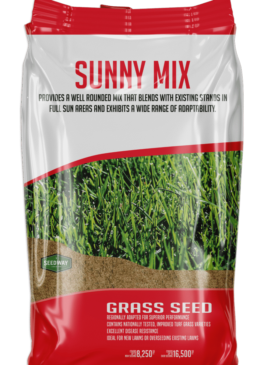 Sunny Mixture