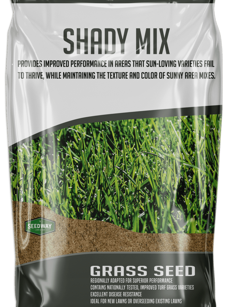 Shady Mix Grass Seed
