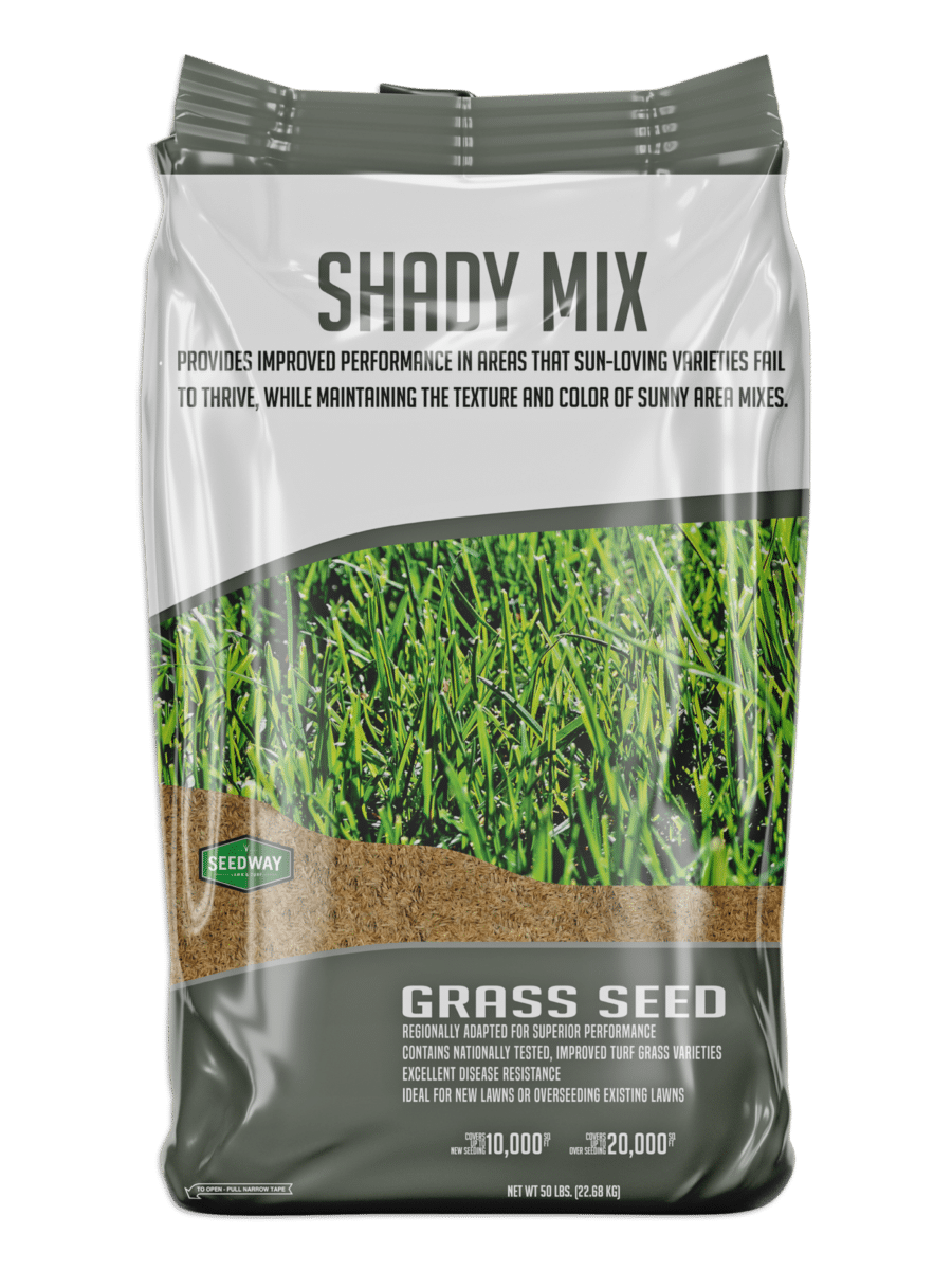 Shady Mix Grass Seed